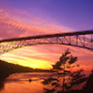 Meet your Posher, Phoenix